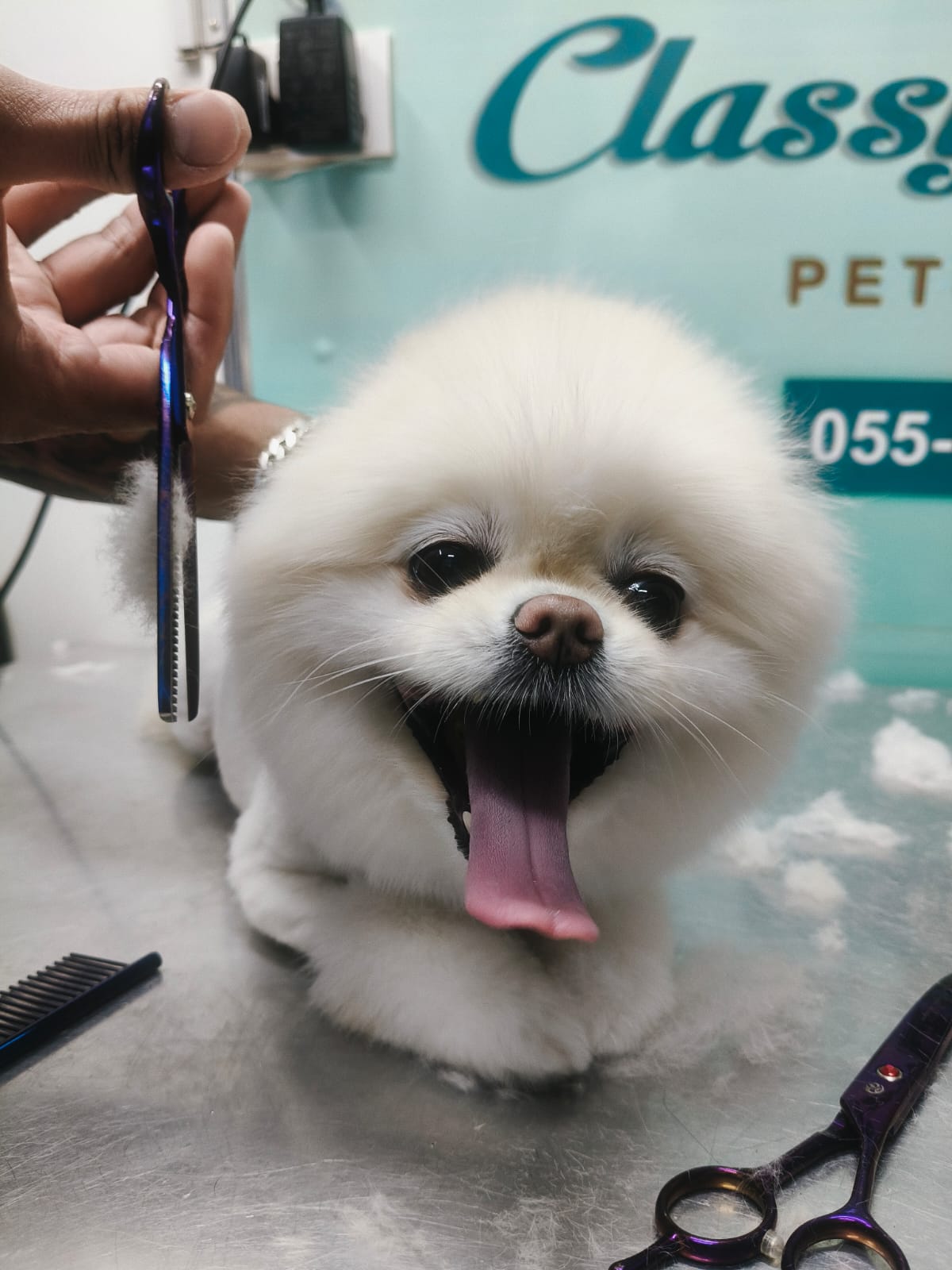 whatsapp image 2025 09 21 at 18.38.36