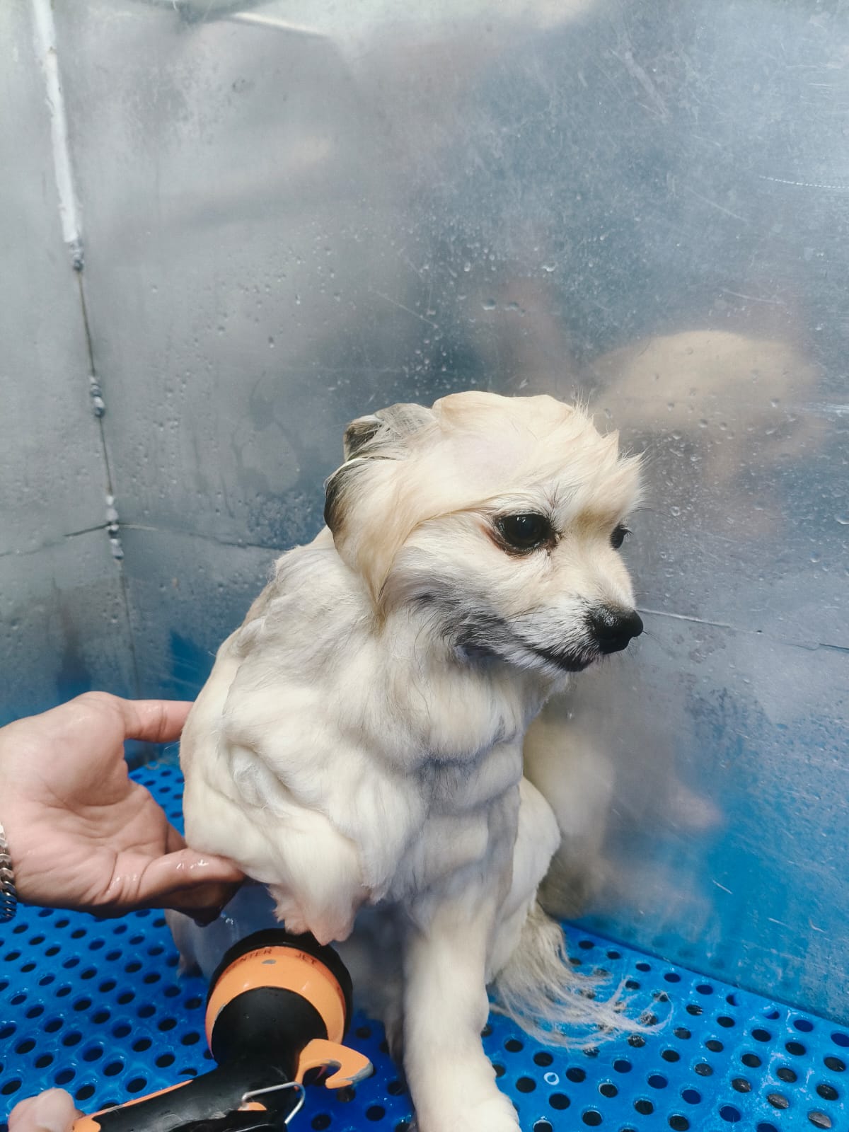 whatsapp image 2025 09 21 at 18.38.57