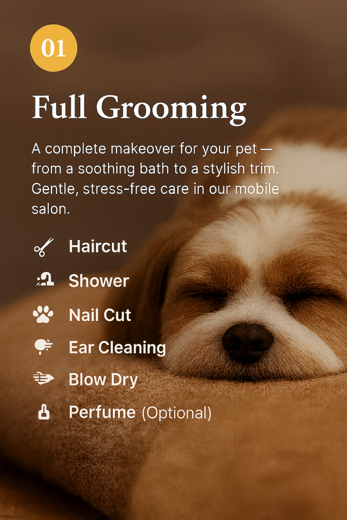 full groom